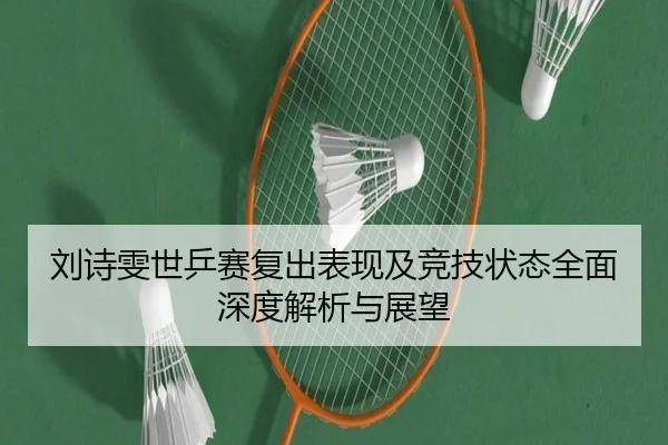 刘诗雯世乒赛复出表现及竞技状态全面深度解析与展望